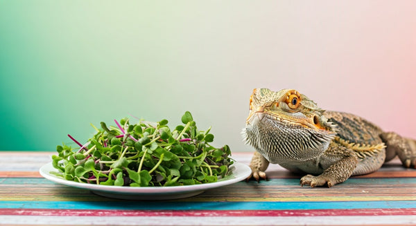 How to Grow Reptile Microgreens at Home (Fast, Mold-Free, and Without Any Equipment)