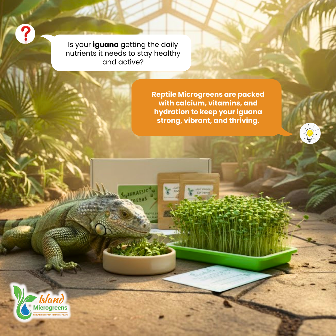 Organic Reptile Microgreen Grow Kit