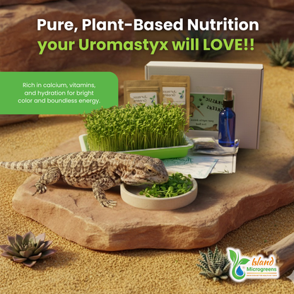 Organic Reptile Microgreens Seed Refill Subscription
