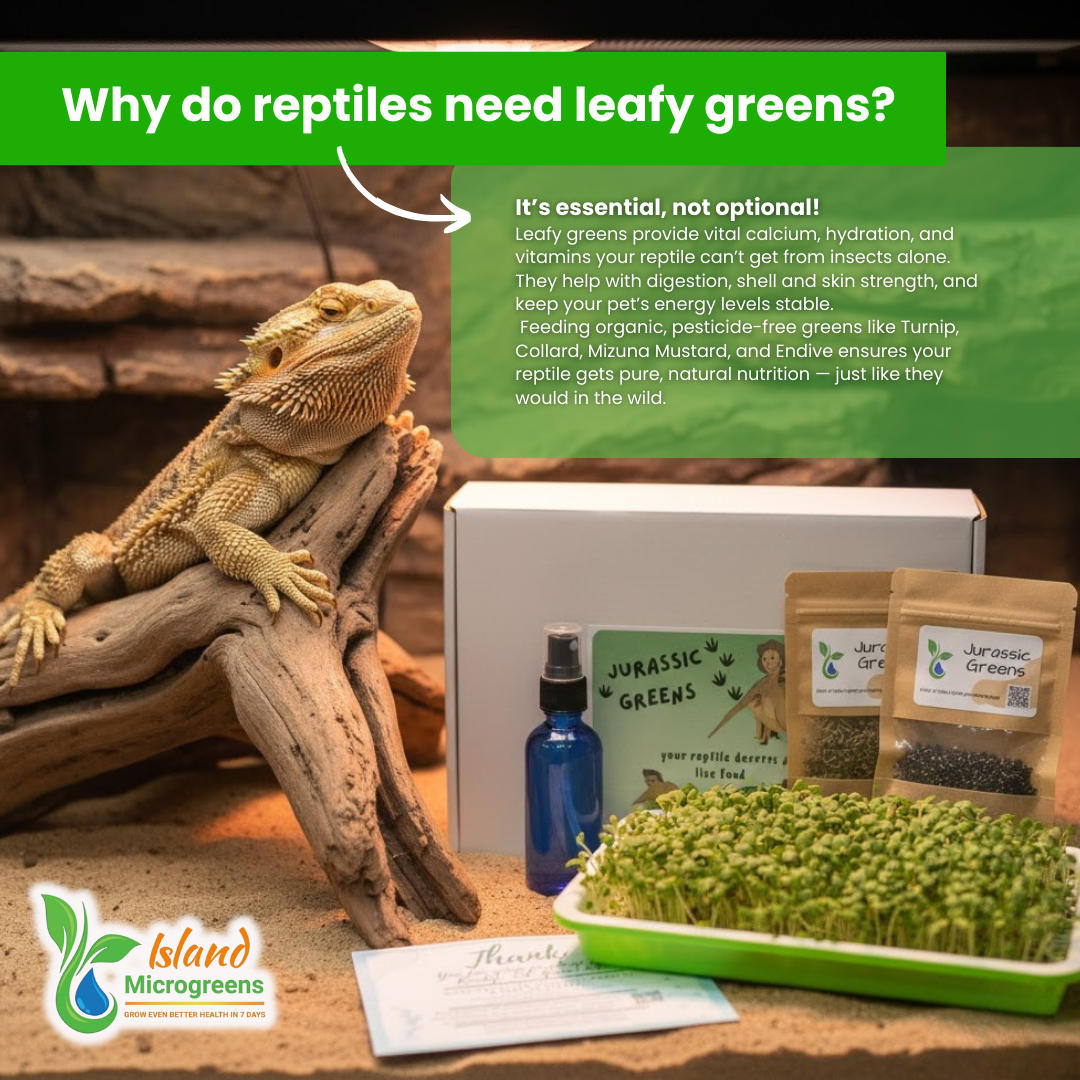 Organic Reptile Microgreen Grow Kit