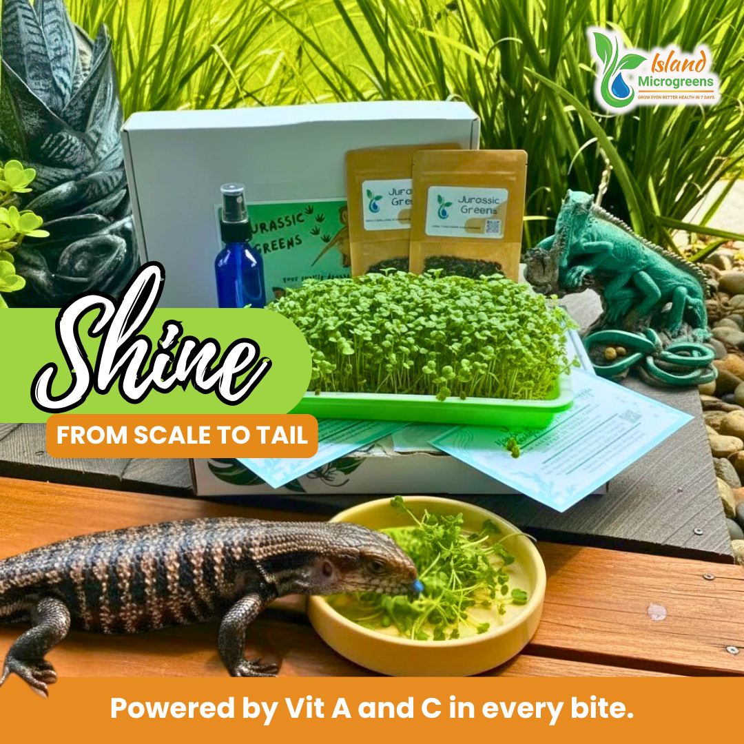 Organic Reptile Microgreen Grow Kit