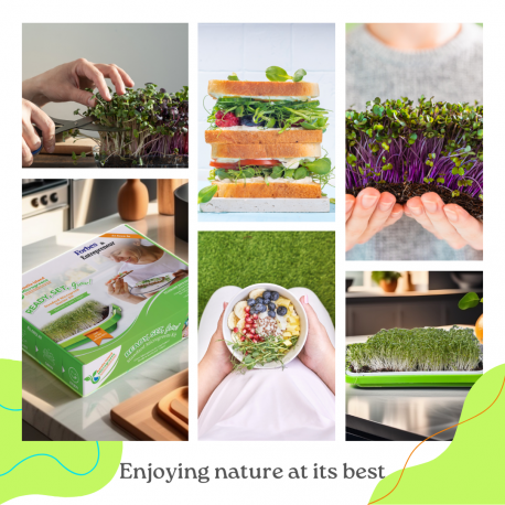 Microgreen Monthly Harvest