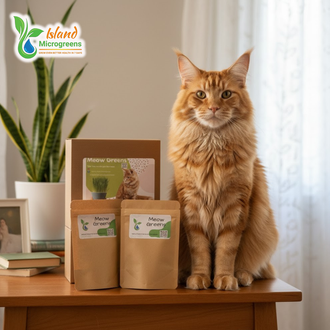 Meow Greens: Organic Indoor Cat Garden Kit