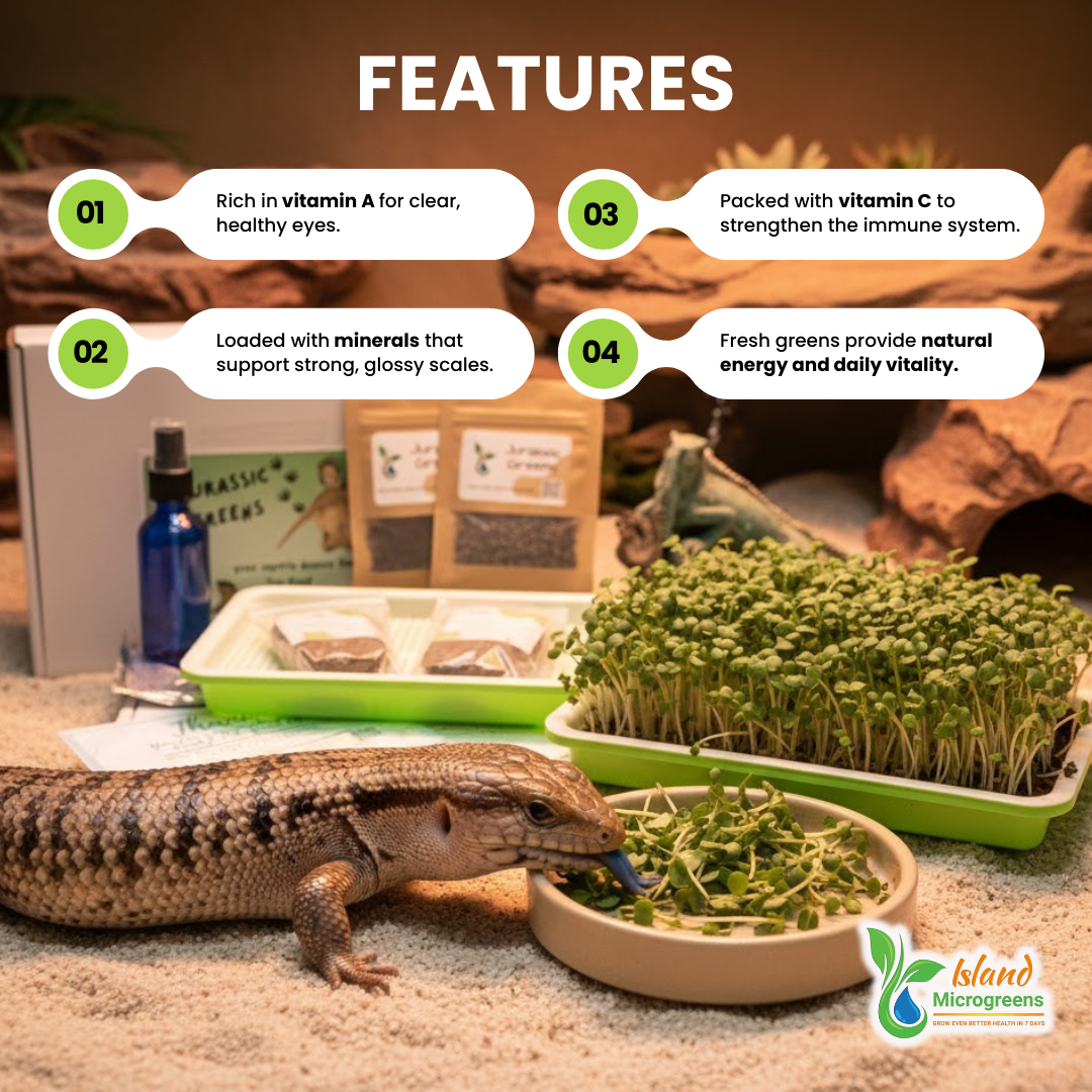 Organic Reptile Microgreen Grow Kit