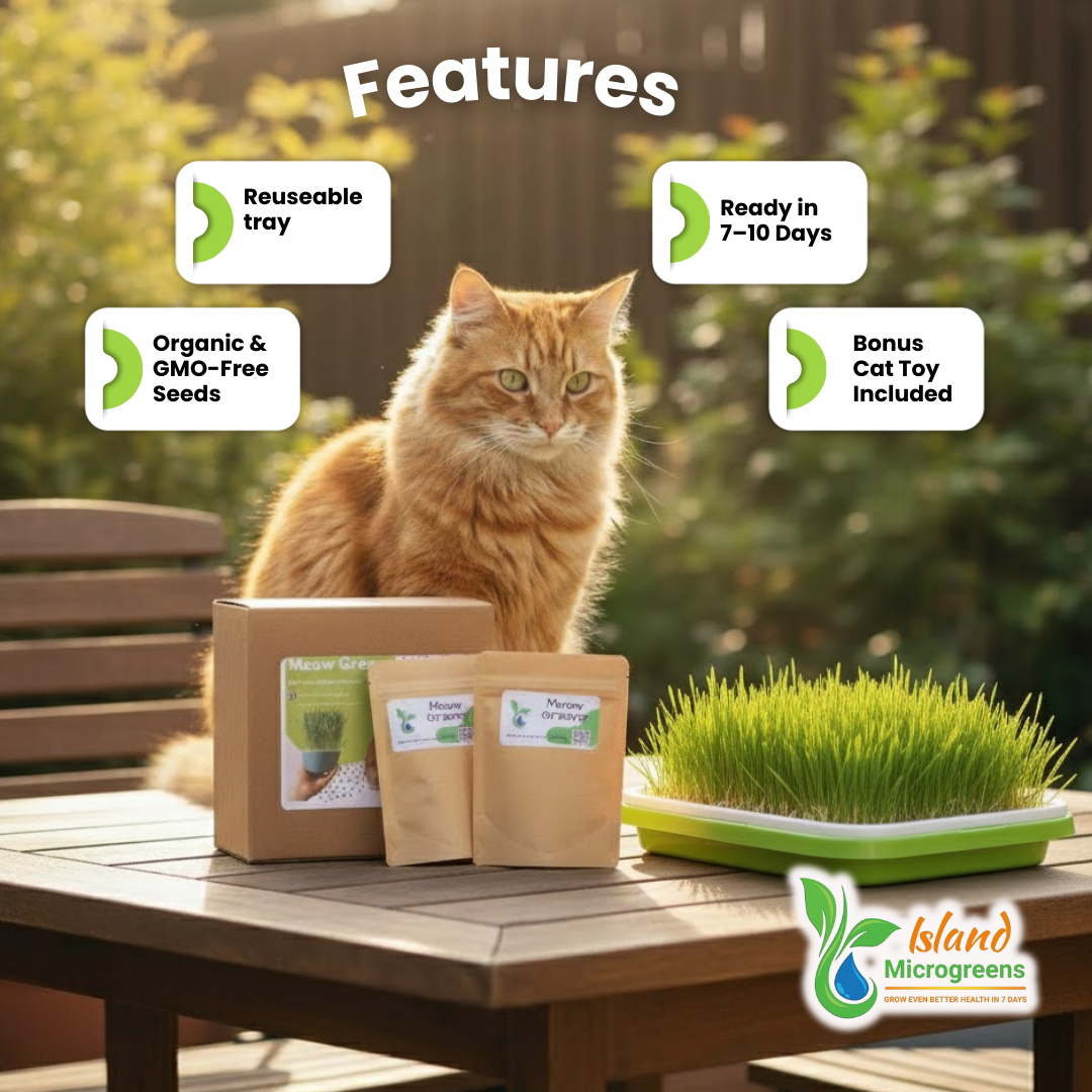 Cat Grass Refill 3 Grow Pack Monthly