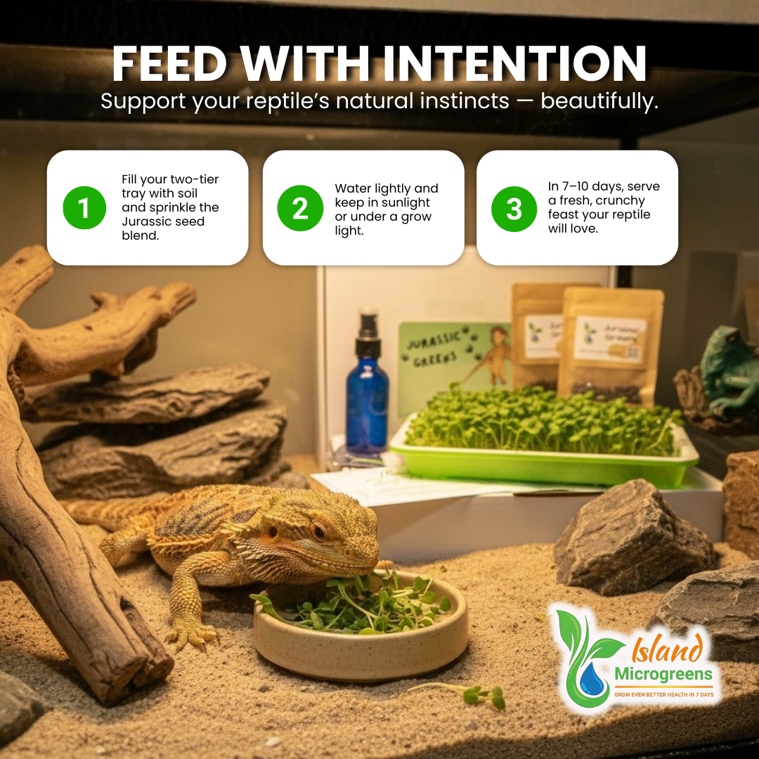 Organic Reptile Microgreens Seed Refill Subscription