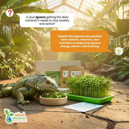 Organic Reptile Microgreens Seed Refill Subscription