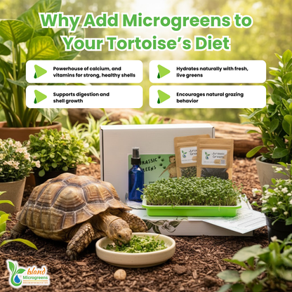 Organic Reptile Microgreens Seed Refill Subscription