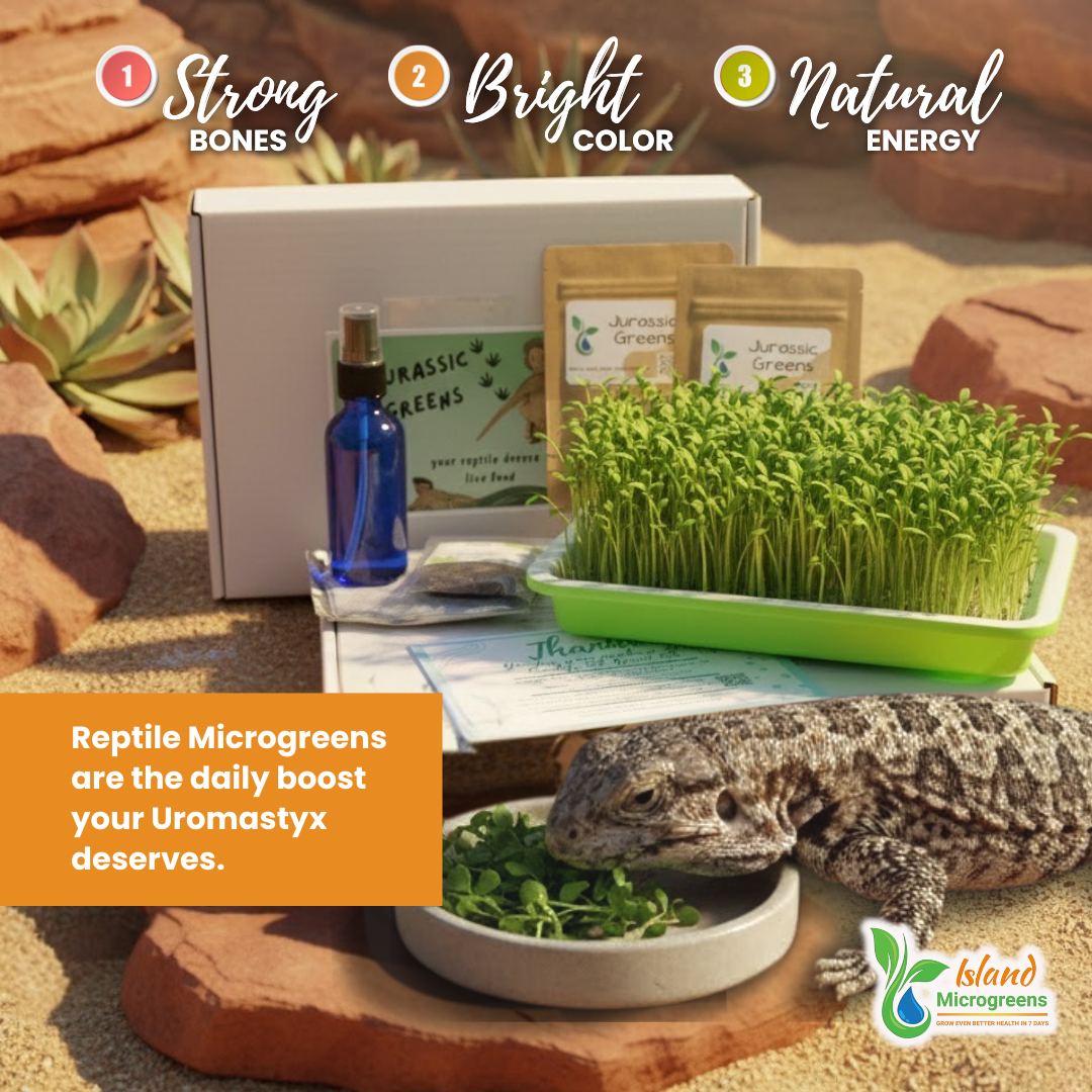 Organic Reptile Microgreens Seed Refill Subscription