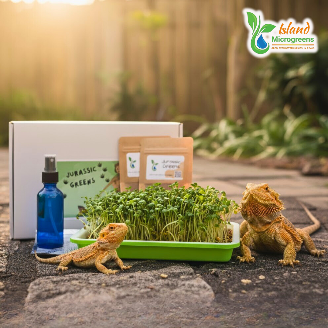 Organic Reptile Microgreen Grow Kit