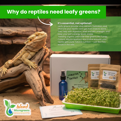 Organic Reptile Microgreens Seed Refill Subscription