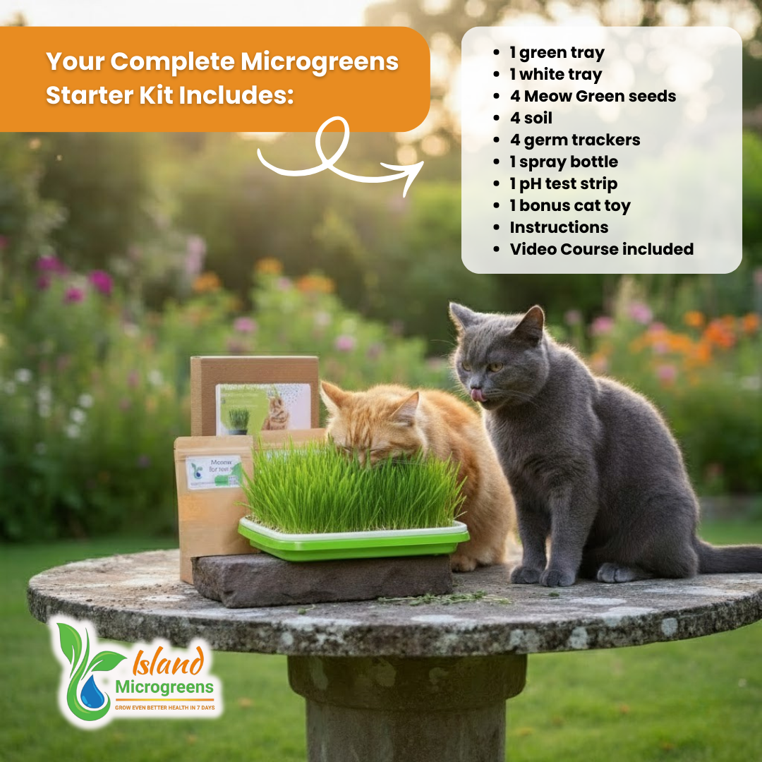 Cat Grass Refill 3 Grow Pack Monthly