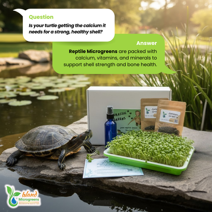 Organic Reptile Microgreens Seed Refill Subscription