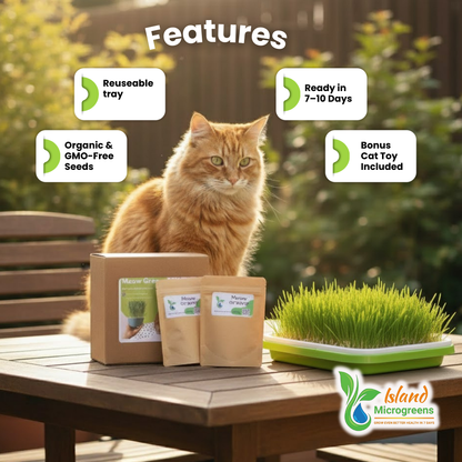 Meow Greens: Organic Indoor Cat Garden Kit