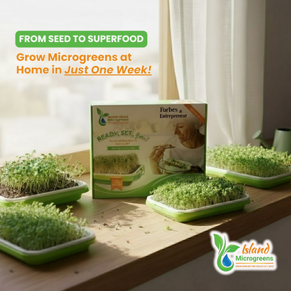 Standard Microgreen Growing System