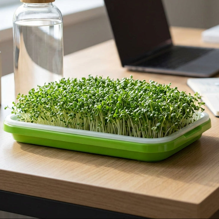 Deluxe Superfood Growing System