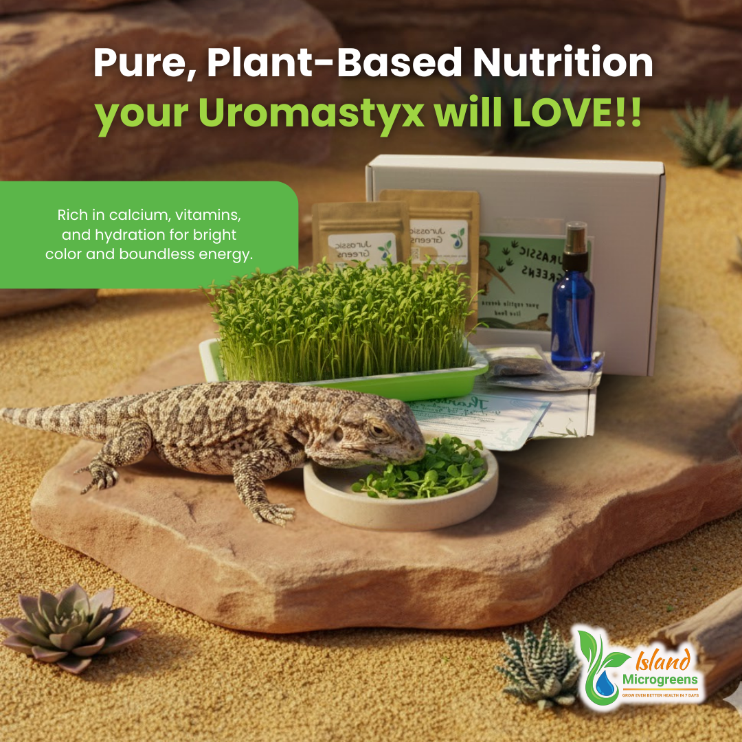 Organic Reptile Microgreen Grow Kit