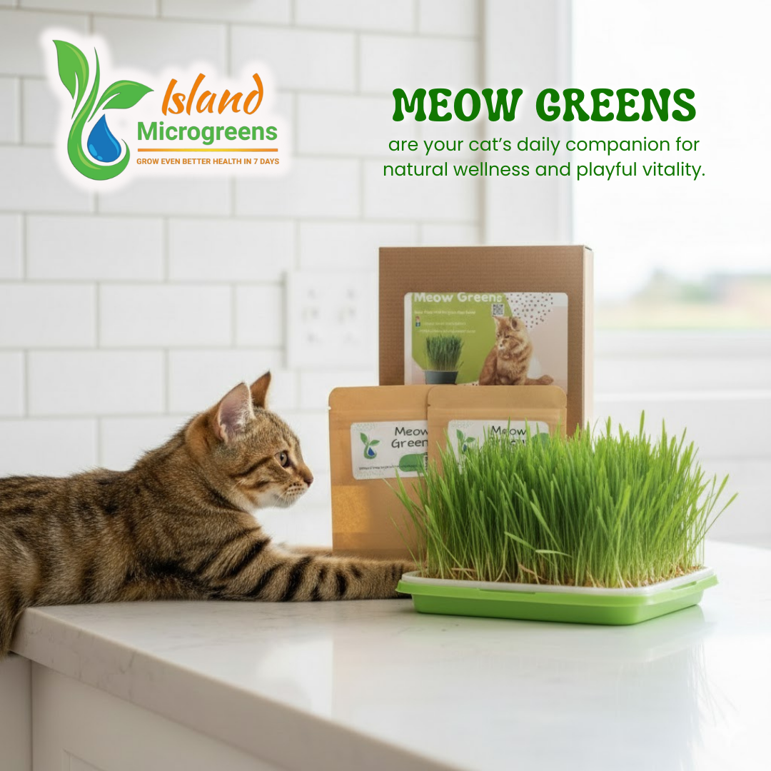 Cat Grass Refill 3 Grow Pack Monthly