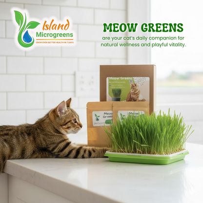 Cat Grass Refill 3 Grow Pack Monthly