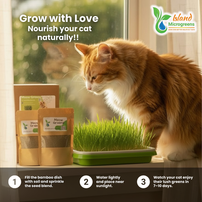 Meow Greens: Organic Indoor Cat Garden Kit