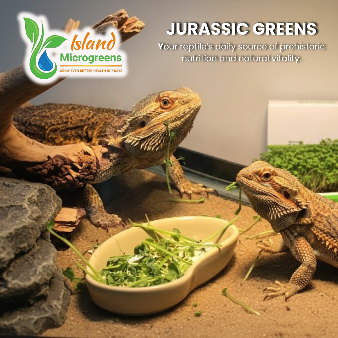 Organic Reptile Microgreens Seed Refill Subscription