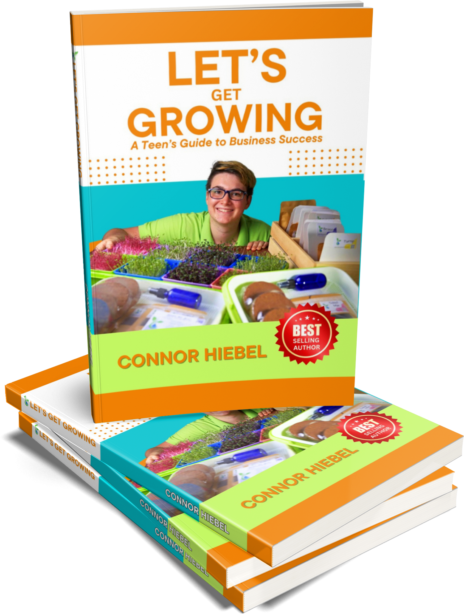 The Young Entrepreneur’s Success Playbook