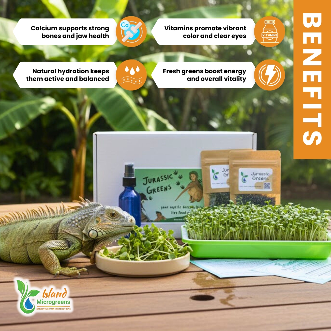 Organic Reptile Microgreens Seed Refill Subscription