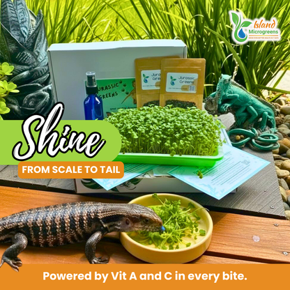 Organic Reptile Microgreens Seed Refill Subscription